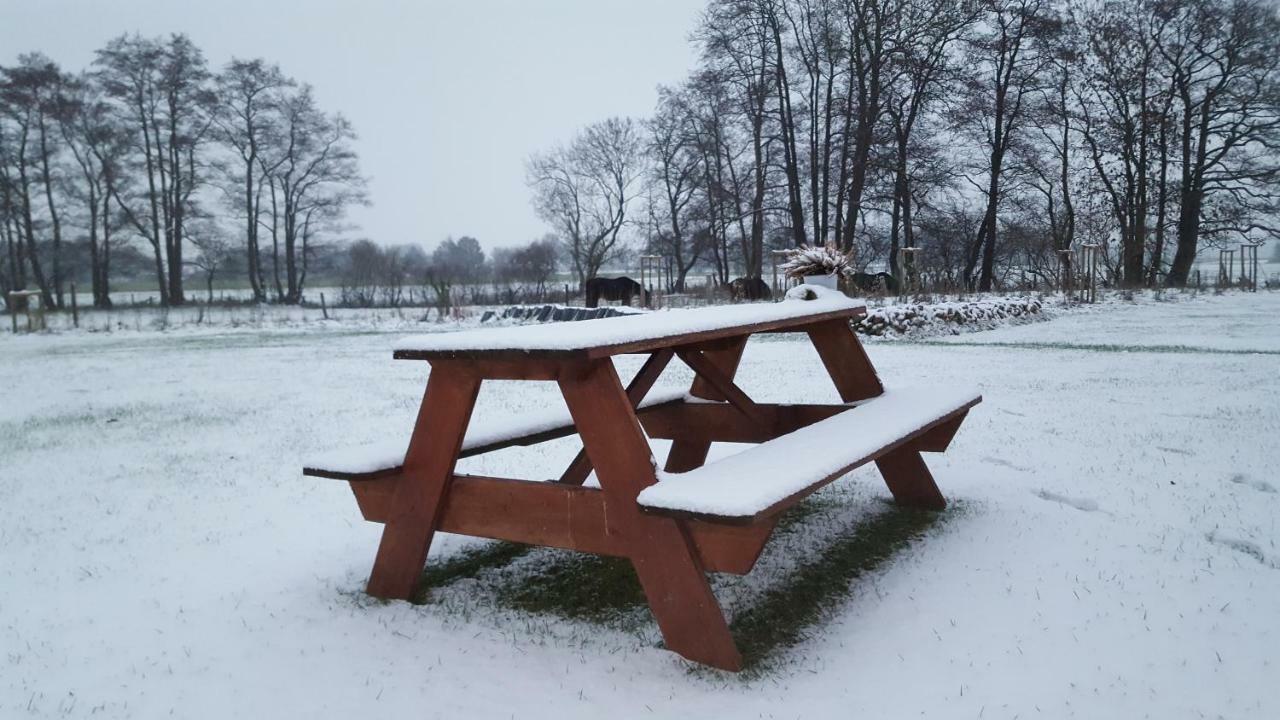 Emsduene Villa Oberlangen Exteriör bild